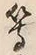 文字等