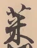 Character 菜