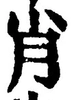 Character 肖