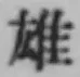Character 雄