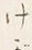 文字う