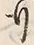 文字 行