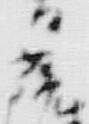 “芳”字