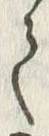 𡨸亭