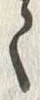 “八”字