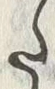 “生”字