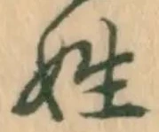 姓の位置