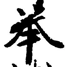 挙の位置