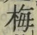 字梅