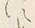 字す