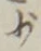 Character 少