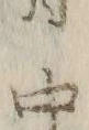 字所