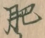 Chữ 肥