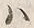 文字尊