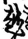 位置 確認된 越