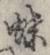 位置定マレル蝶