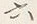文字六