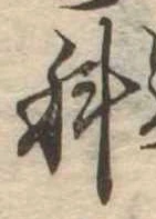 位置定マレル科