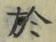 Character 於