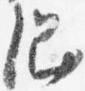 位置 確認된 綱