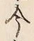 「今」字