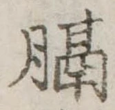 膈 위치 확인됨