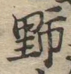 位置 確認된 野