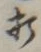Chữ 打