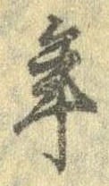 位置 確認된 年