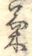 已定位菊