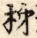 位置定マレル柿