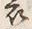 文字 束