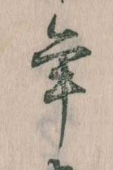 位置 確認된 年