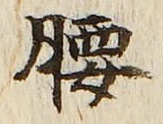 字腰