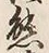 𡨸熊