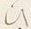 “ひ”字