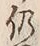 Character 仍