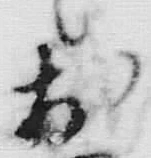 「お」字