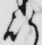 文字 行