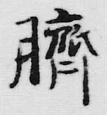文字臍