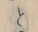 Đã định vị と
