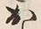 「お」字
