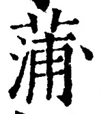 字蒲