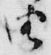 「由」字