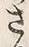 字さ