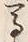 𡨸馬