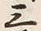 Chữ 三
