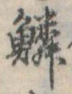 位置 確認된 鱗