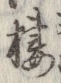 位置定マレル棲