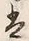 字島